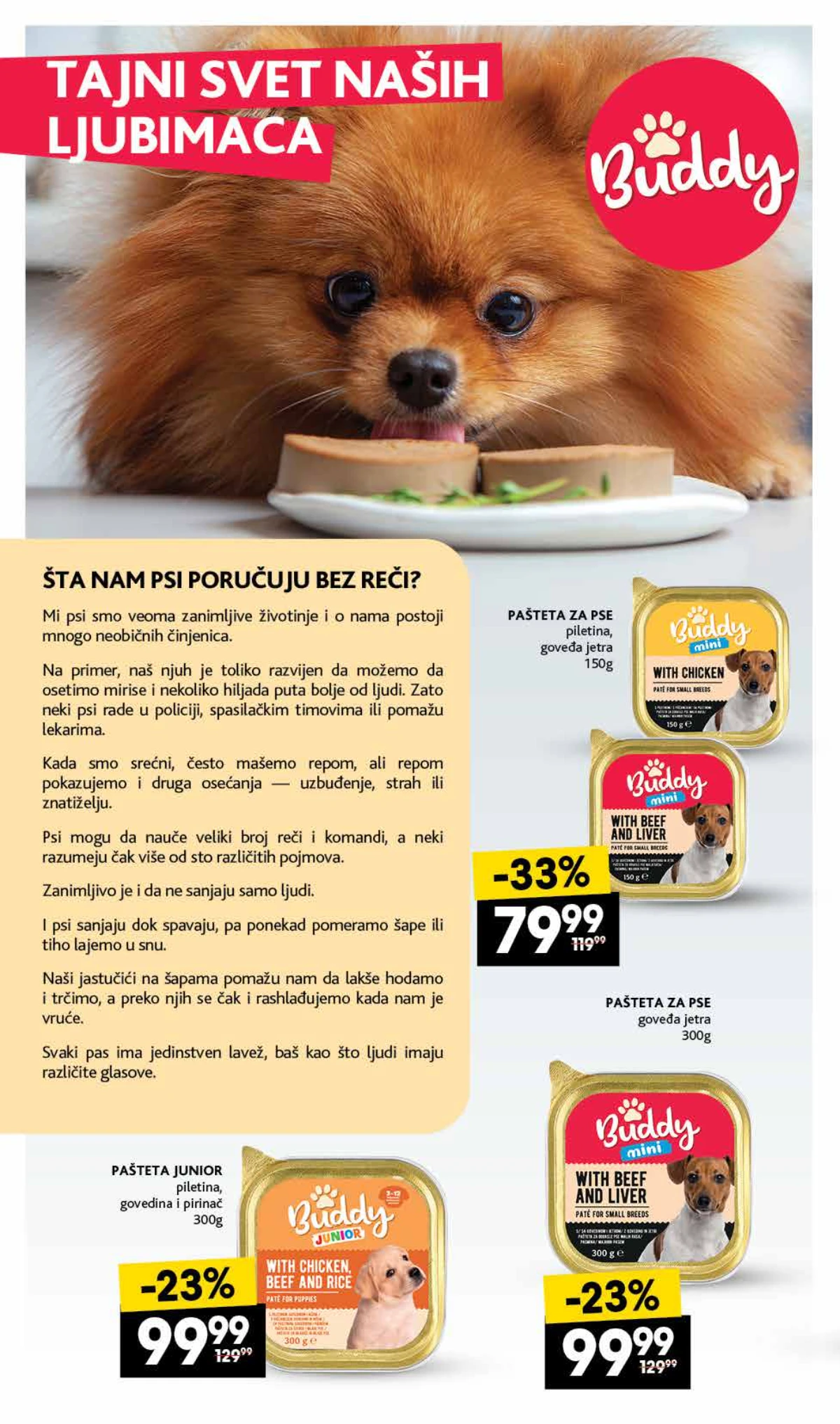 IDEA Roda Mercator akcija za ljubimce strana 2 – Buddy paštete za pse i pet hrana po akcijskim cenama