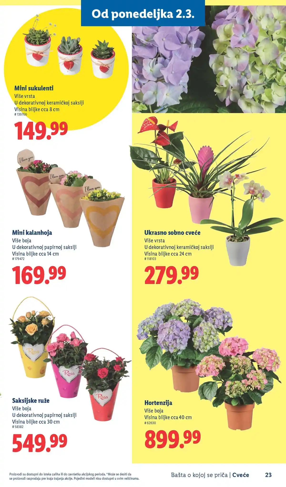 Lidl akcija sniženja Bašta o kojoj se priča