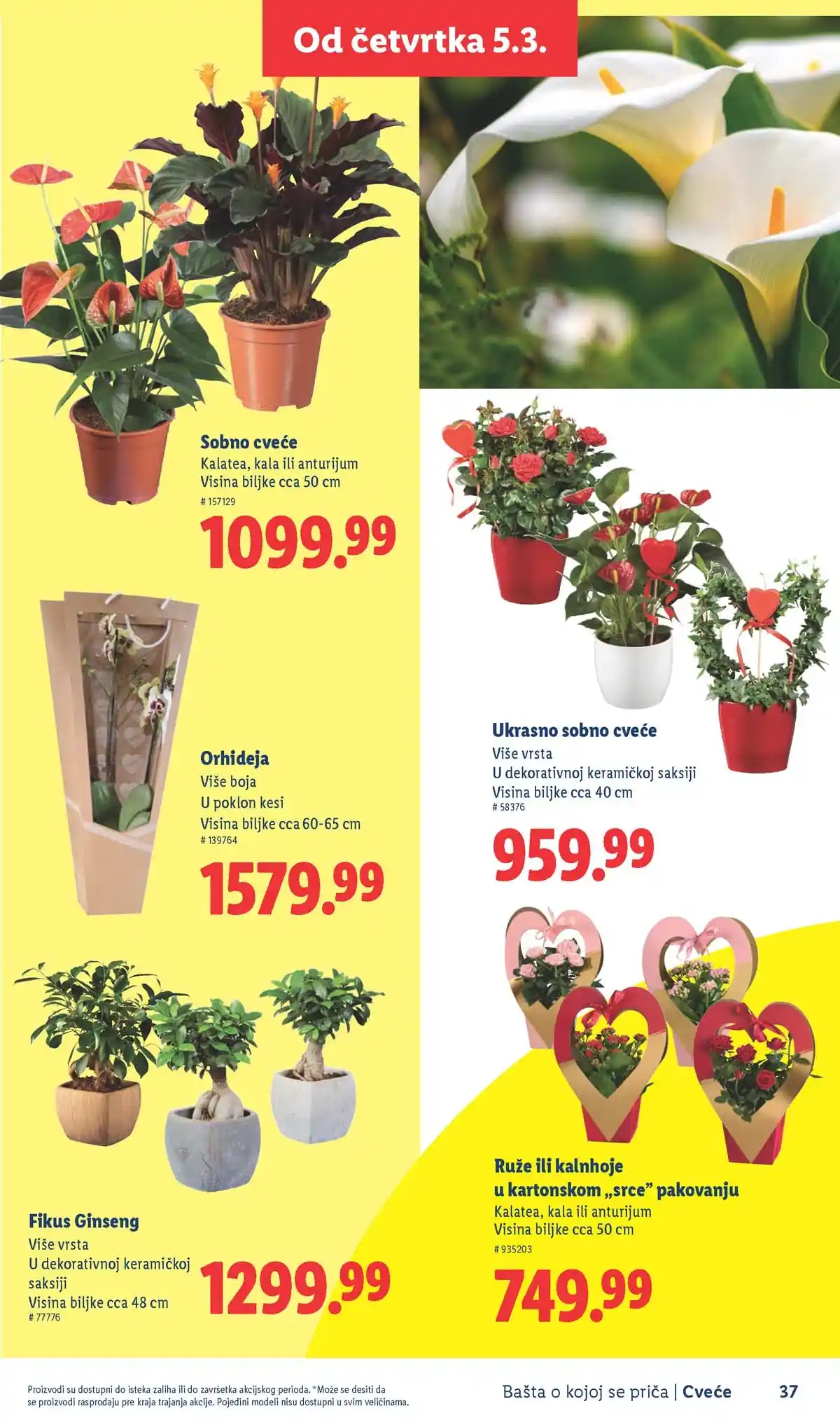 Lidl akcija sniženja Bašta o kojoj se priča