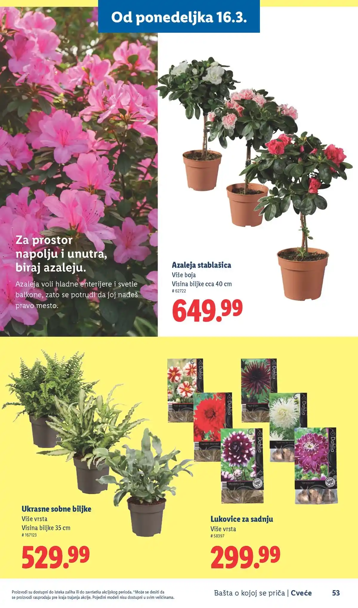 Lidl akcija sniženja Bašta o kojoj se priča