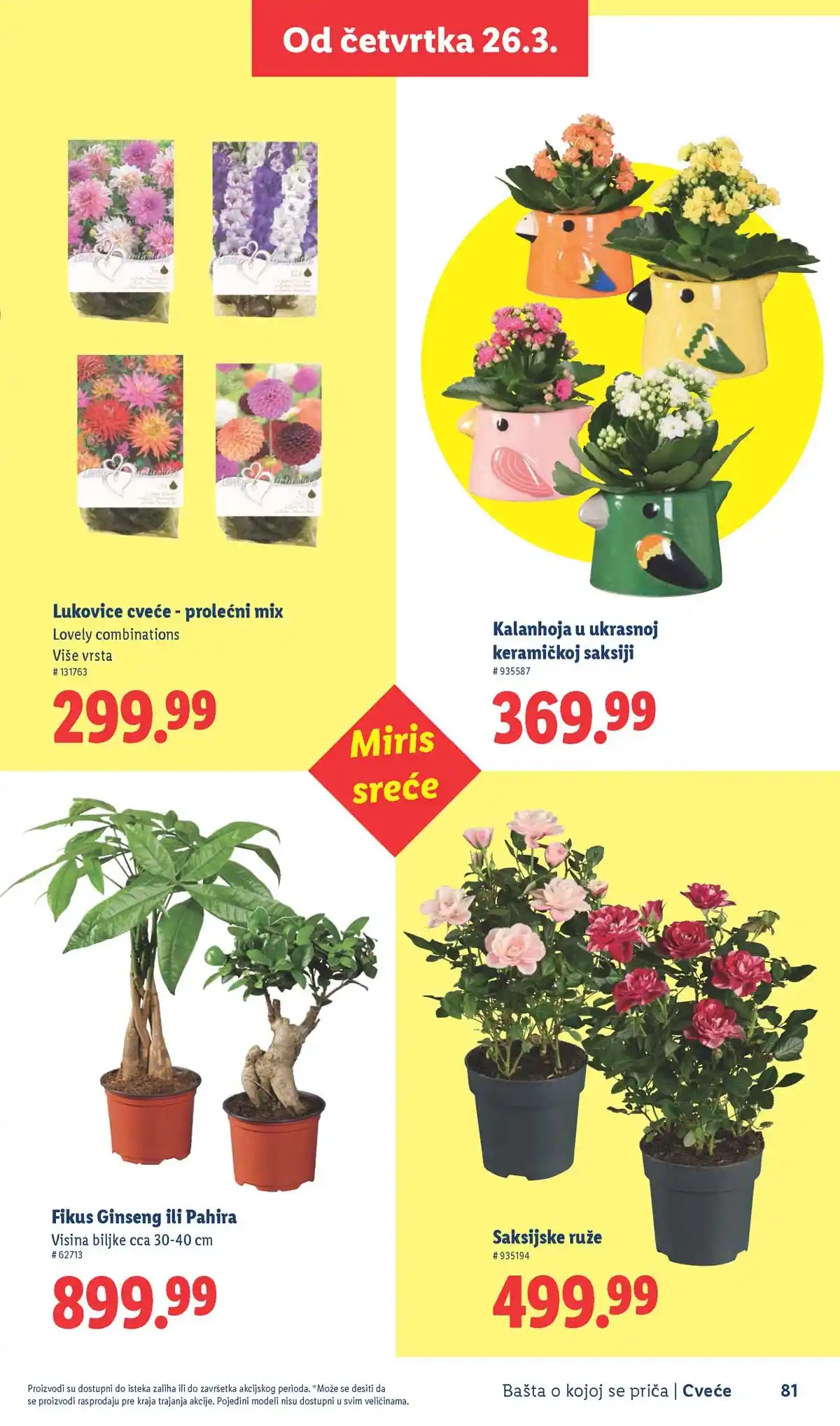 Lidl akcija sniženja Bašta o kojoj se priča