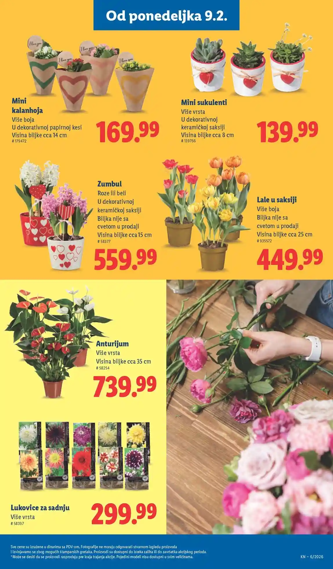 Lidl katalog sniženja – strana 55 Lidl katalog sniženja strana 55 februar 2026 Srbija
