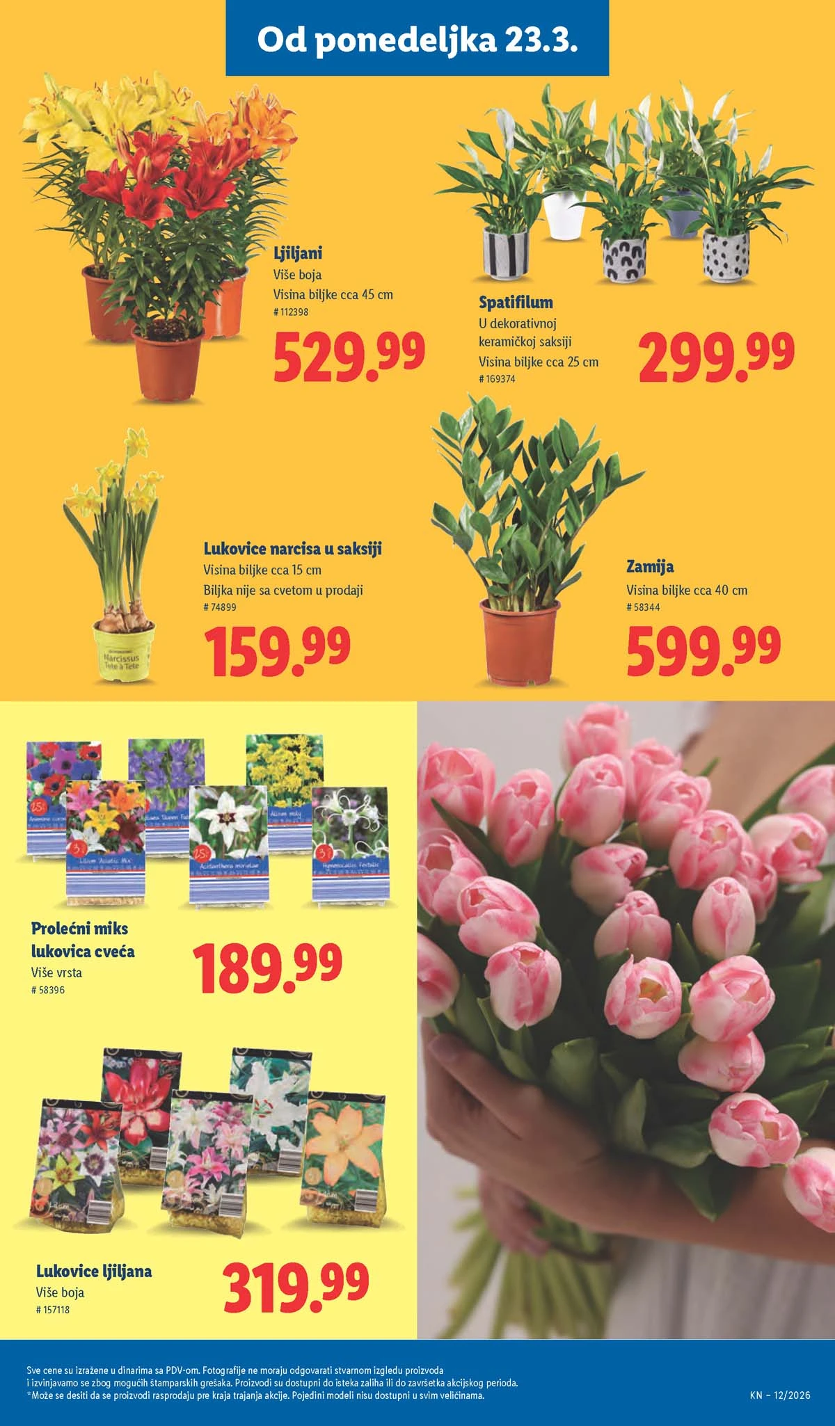 Lidl katalog strana 53 – aktuelna akcija i snižene cene do 25.03.2026 Lidl katalog akcija strana 53 – sniženja prehrana, pića i kućni proizvodi do 25.03.2026