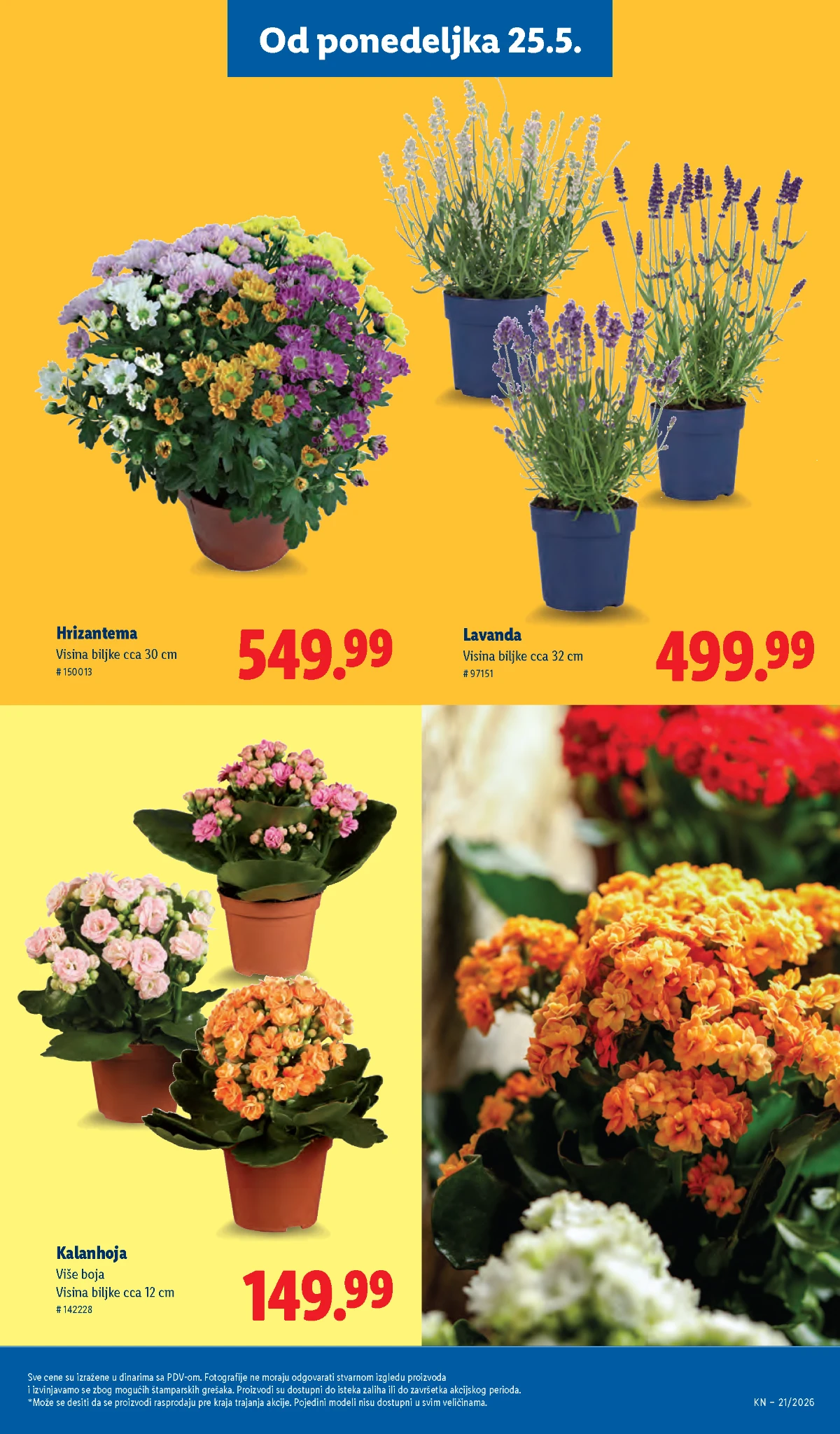 Lidl katalog akcija strana 65 – hit ponude 07.05.–13.05.2026 Lidl katalog akcija strana 65 hit ponude Srbija 2026