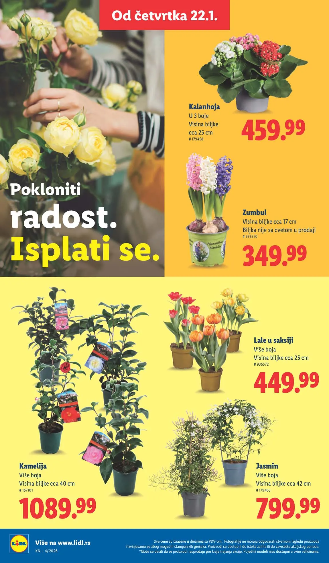 Lidl katalog sniženja Lidl akcija sniženja