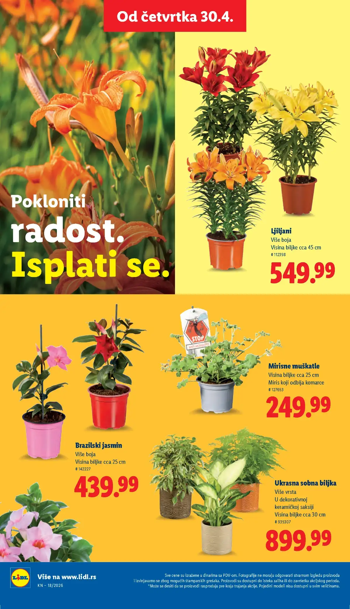Lidl katalog akcija strana 64