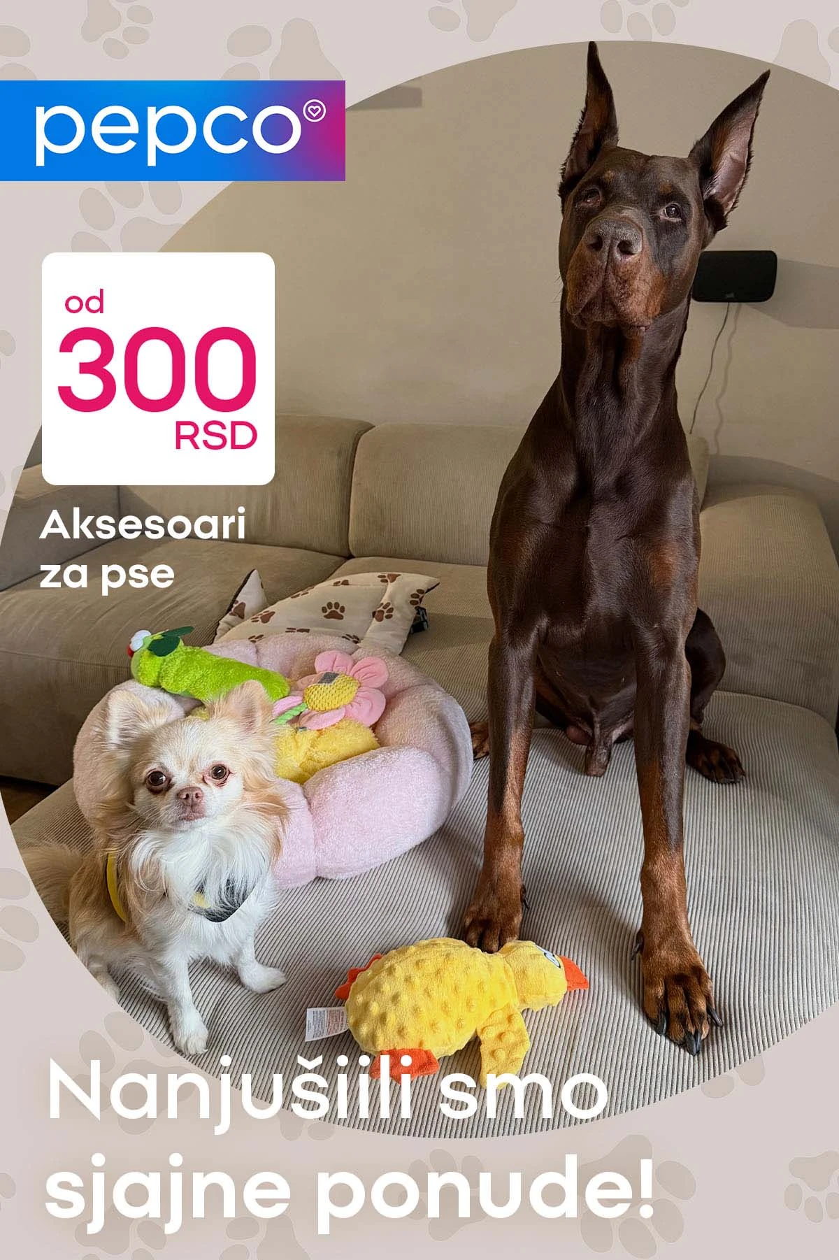 Pepco akcija za kućne ljubimce katalog sniženja oprema i dodaci Srbija do isteka zaliha.