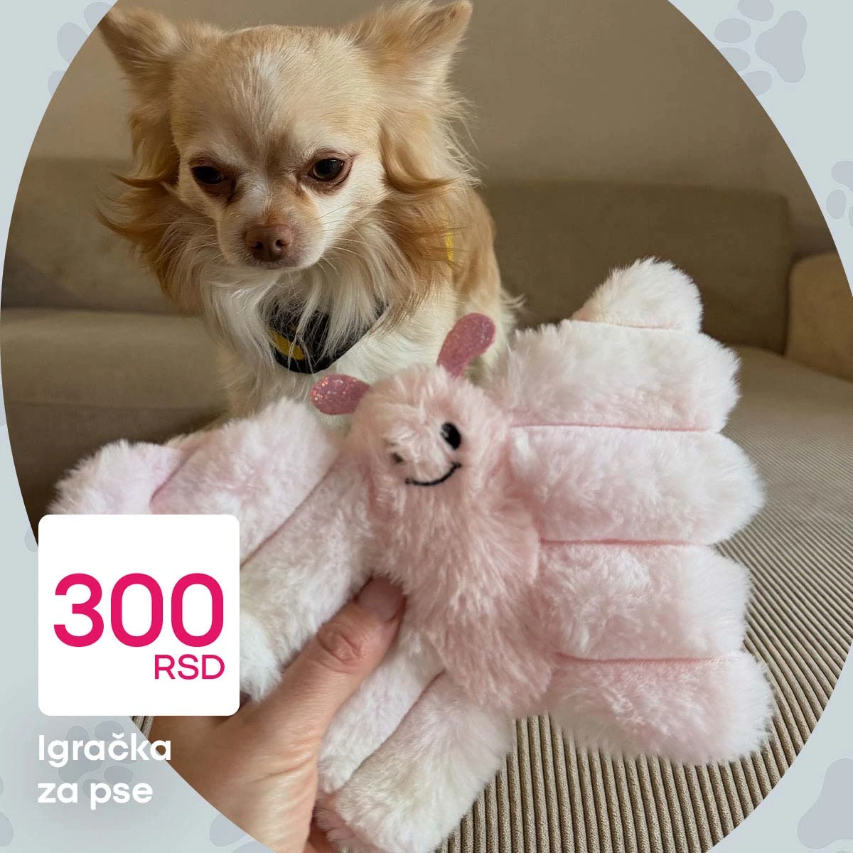 Pepco akcija za kućne ljubimce sniženja oprema i dodaci Srbija strana 3