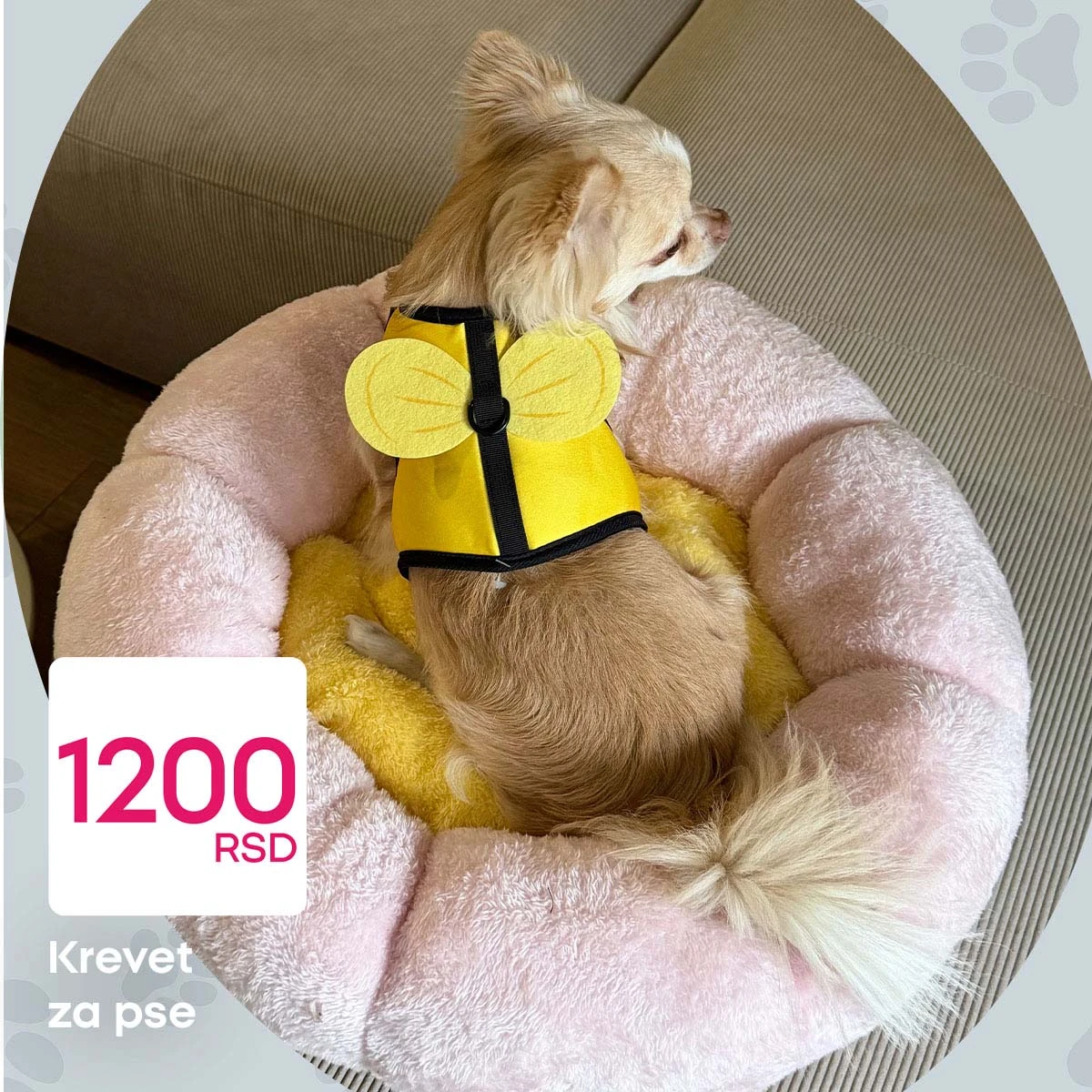 Pepco akcija za kućne ljubimce sniženja oprema i dodaci Srbija strana 4